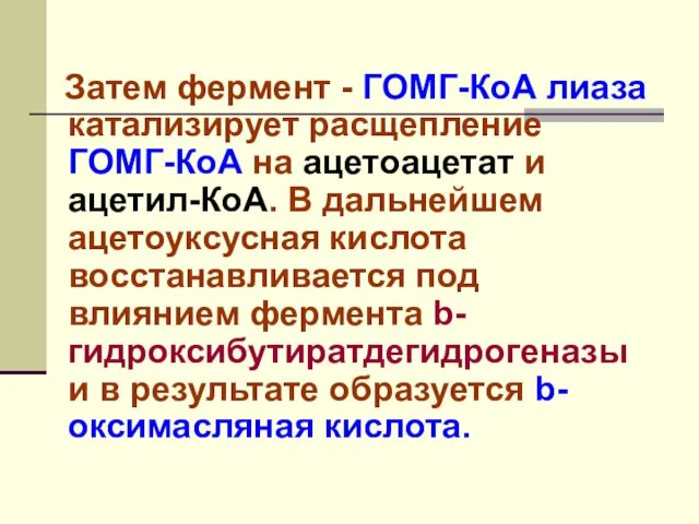 Затем фермент - ГОМГ-КоА лиаза катализирует расщепление ГОМГ-КоА на ацетоацетат