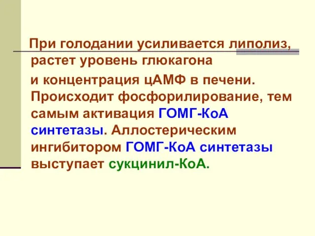 При голодании усиливается липолиз, растет уровень глюкагона и концентрация цАМФ