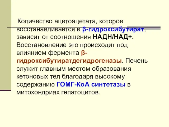 Количество ацетоацетата, которое восстанавливается в β-гидроксибутират, зависит от соотношения НАДН/НАД+.