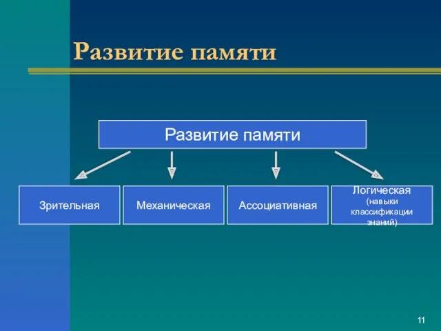 Развитие памяти Развитие памяти Зрительная Ассоциативная Логическая (навыки классификации знаний) Механическая