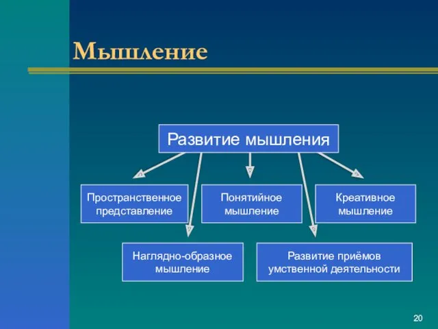 Мышление Пространственное представление Понятийное мышление Креативное мышление Наглядно-образное мышление Развитие приёмов умственной деятельности Развитие мышления