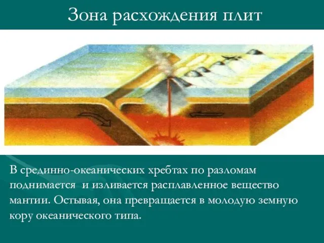 Зона расхождения плит В срединно-океанических хребтах по разломам поднимается и