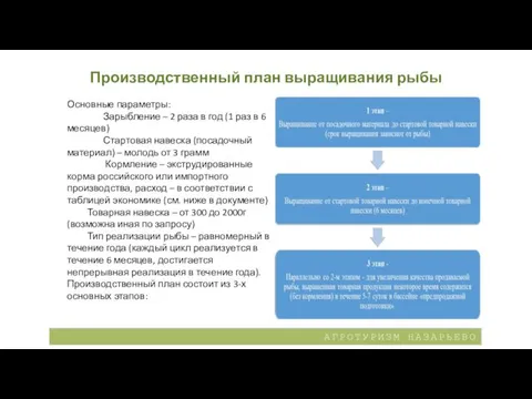 Производственный план выращивания рыбы Основные параметры: Зарыбление – 2 раза