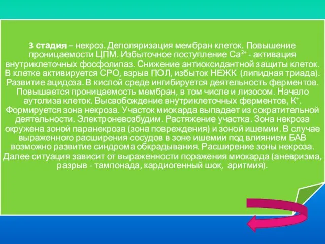 3 стадия – некроз. Деполяризация мембран клеток. Повышение проницаемости ЦПМ.