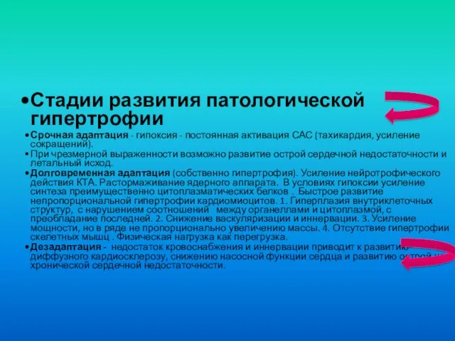 Стадии развития патологической гипертрофии Срочная адаптация - гипоксия - постоянная