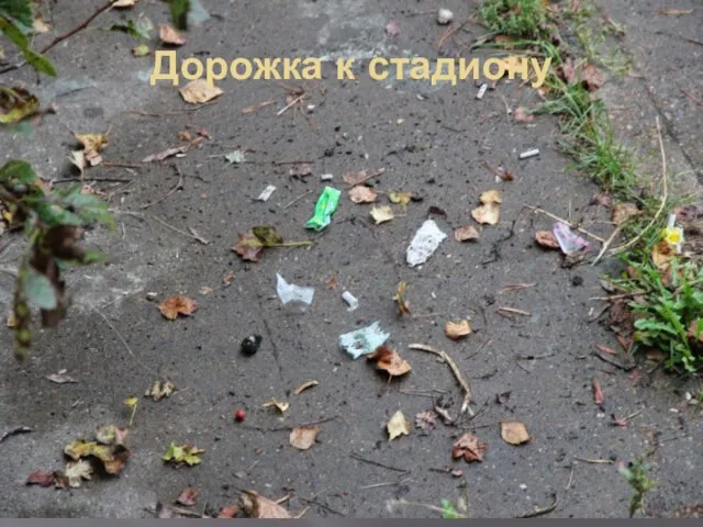 Дорожка к стадиону