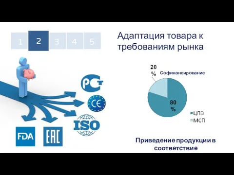 Адаптация товара к требованиям рынка 1 2 3 4 5 Приведение продукции в соответствие Софинансирование