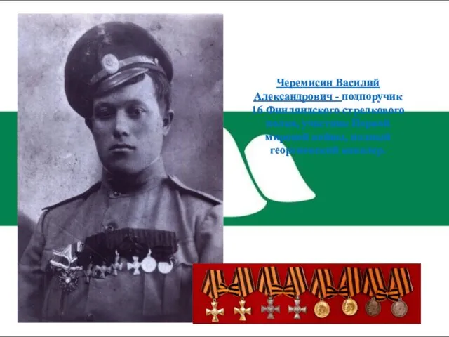 Черемисин Василий Александрович - подпоручик 16 Финляндского стрелкового полка, участник Первой мировой войны, полный георгиевский кавалер.