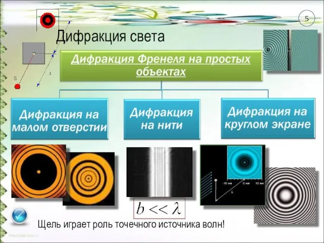 Щель играет роль точечного источника волн! Дифракция света 5