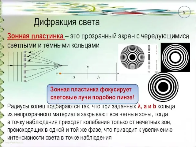 Дифракция света Зонная пластинка – это прозрачный экран с чередующимися