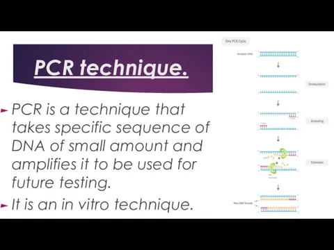 PCR technique. PCR is a technique that takes specific sequence