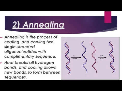 2) Annealing Annealing is the process of heating and cooling