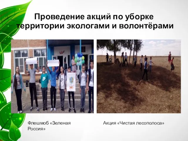 Проведение акций по уборке территории экологами и волонтёрами Флешмоб «Зеленая Россия» Акция «Чистая лесополоса»