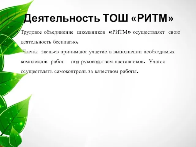 Деятельность ТОШ «РИТМ» Трудовое объединение школьников «РИТМ» осуществляет свою деятельность