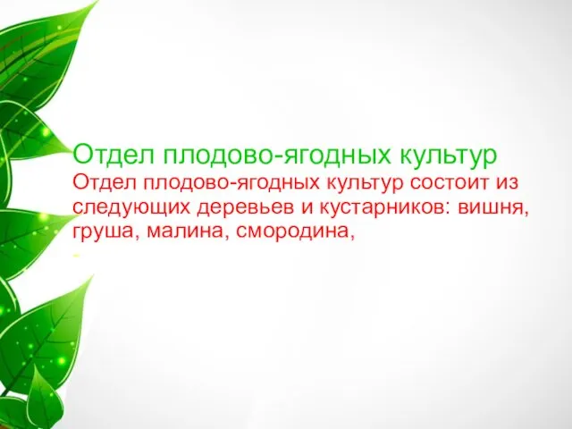 Отдел плодово-ягодных культур Отдел плодово-ягодных культур состоит из следующих деревьев