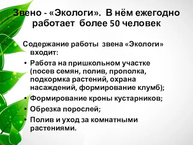 Звено - «Экологи». В нём ежегодно работает более 50 человек