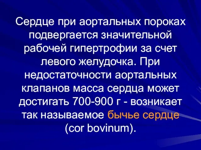 Сердце при аортальных пороках подвергается значительной рабочей гипертрофии за счет