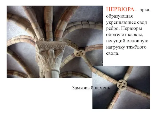 Замковый камень НЕРВЮРА – арка, образующая укрепляющее свод ребро. Нервюры