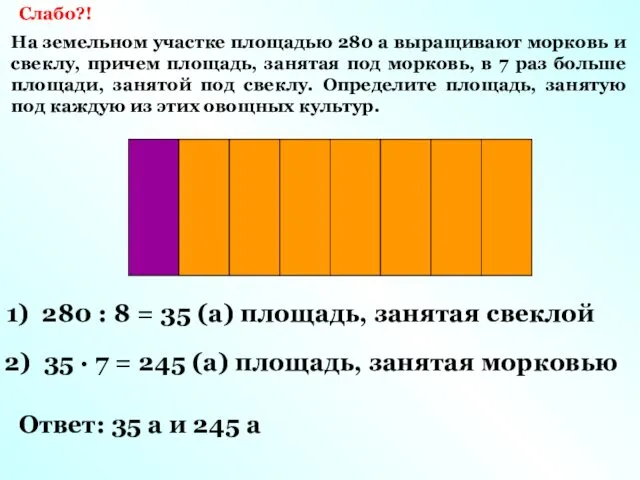 Слабо?! На земельном участке площадью 280 а выращивают морковь и