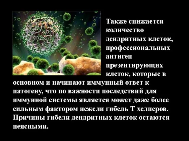 Также снижается количество дендритных клеток, профессиональных антиген презентирующих клеток, которые