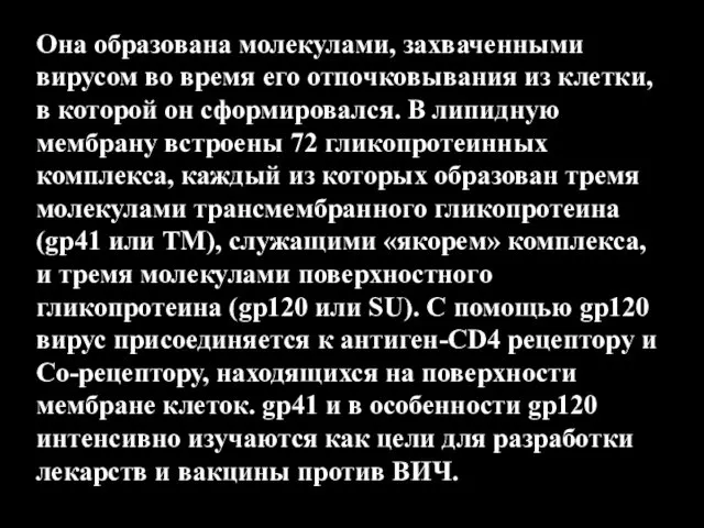 Она образована молекулами, захваченными вирусом во время его отпочковывания из