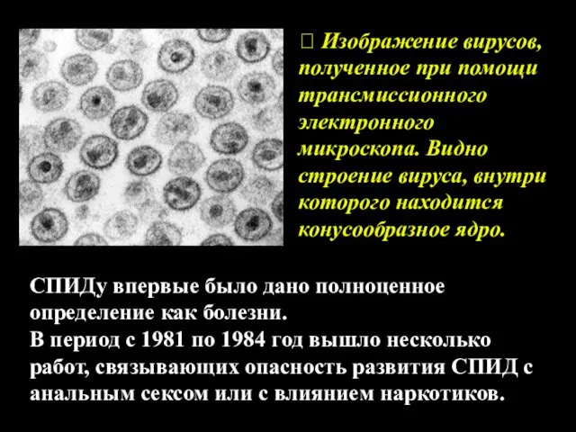 ? Изображение вирусов, полученное при помощи трансмиссионного электронного микроскопа. Видно