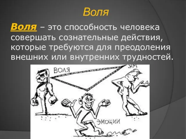 Воля Воля – это способность человека совершать сознательные действия, которые