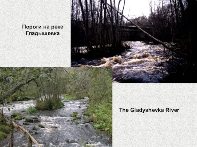 The Gladyshevka River Пороги на реке Гладышевка
