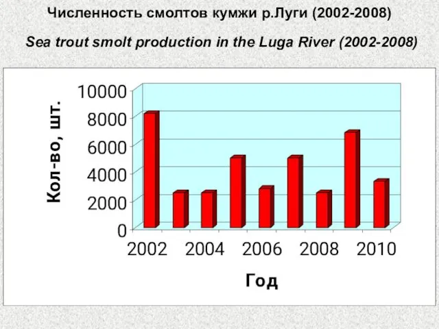 Численность смолтов кумжи р.Луги (2002-2008) Sea trout smolt production in the Luga River (2002-2008)