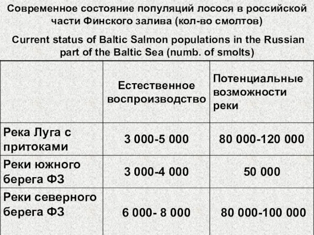 Современное состояние популяций лосося в российской части Финского залива (кол-во