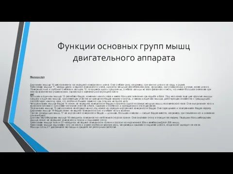 Функции основных групп мышц двигательного аппарата Мышцы рук Двуглавая мышца