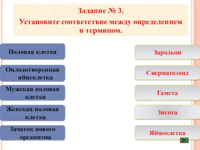 Половая клетка Оплодотворенная яйцеклетка Женская половая клетка Зачаток нового организма