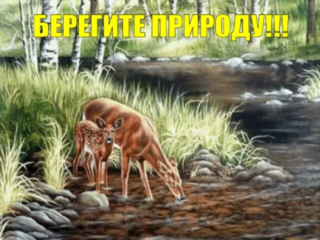 БЕРЕГИТЕ ПРИРОДУ!!!