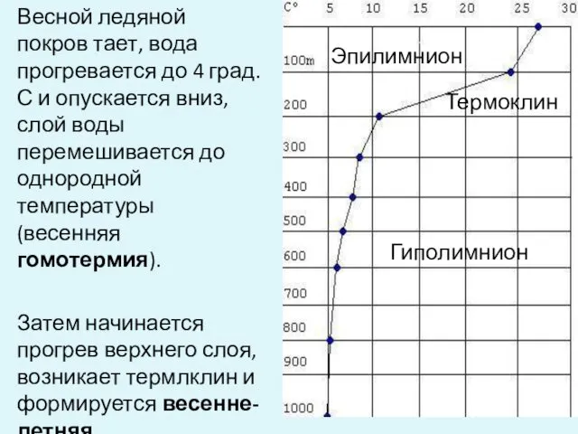 Весной ледяной покров тает, вода прогревается до 4 град.С и