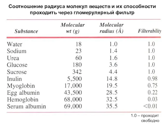 Соотношение радиуса молекул веществ и их способности проходить через гломерулярный фильтр 1.0 – проходит свободно