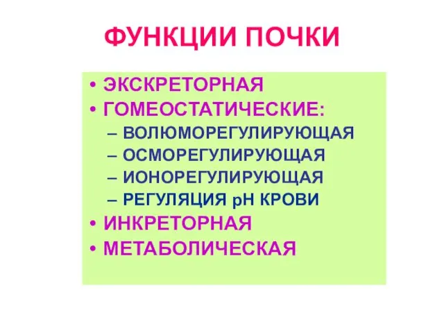 ФУНКЦИИ ПОЧКИ ЭКСКРЕТОРНАЯ ГОМЕОСТАТИЧЕСКИЕ: ВОЛЮМОРЕГУЛИРУЮЩАЯ ОСМОРЕГУЛИРУЮЩАЯ ИОНОРЕГУЛИРУЮЩАЯ РЕГУЛЯЦИЯ рН КРОВИ ИНКРЕТОРНАЯ МЕТАБОЛИЧЕСКАЯ