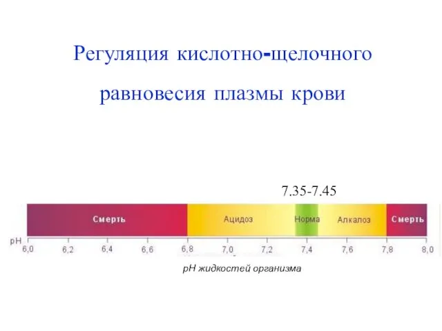 Регуляция кислотно-щелочного равновесия плазмы крови 7.35-7.45