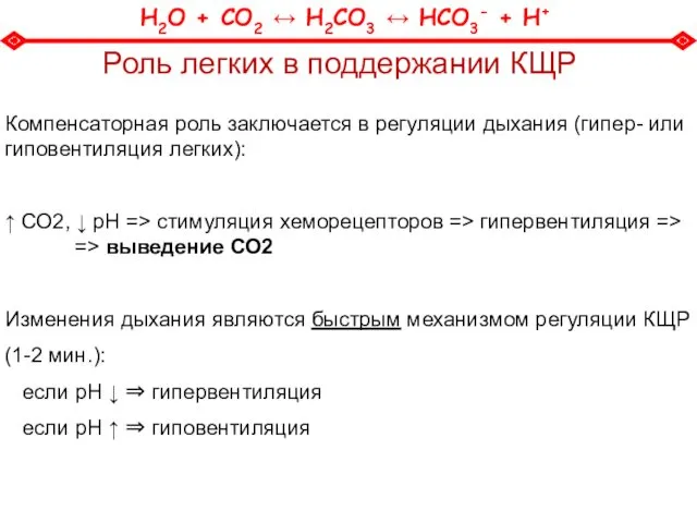 Роль легких в поддержании КЩР Компенсаторная роль заключается в регуляции