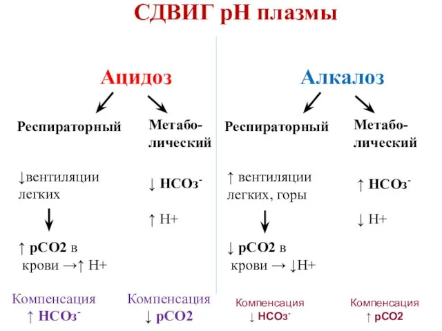 СДВИГ рН плазмы Ацидоз Алкалоз Респираторный Метабо- лический Респираторный Метабо-