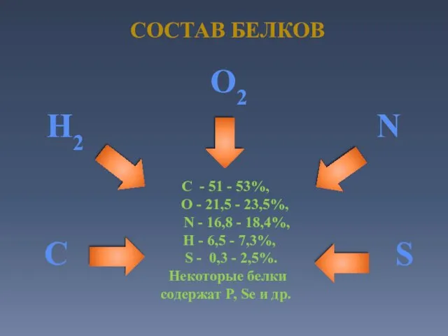 СОСТАВ БЕЛКОВ O2 N C H2 S C - 51