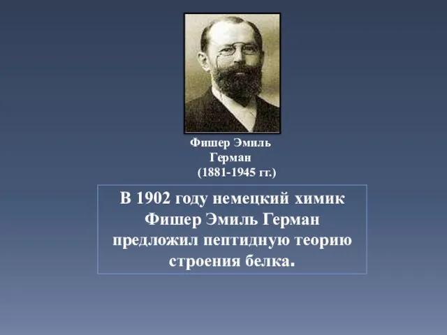 В 1902 году немецкий химик Фишер Эмиль Герман предложил пептидную