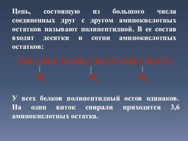 Цепь, состоящую из большого числа соединенных друг с другом аминокислотных