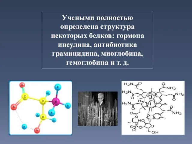 Учеными полностью определена структура некоторых белков: гормона инсулина, антибиотика грамицидина, миоглобина, гемоглобина и т. д.