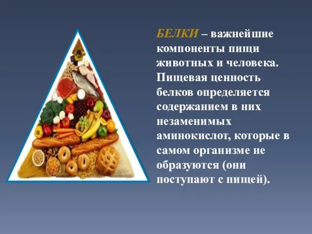 БЕЛКИ – важнейшие компоненты пищи животных и человека. Пищевая ценность