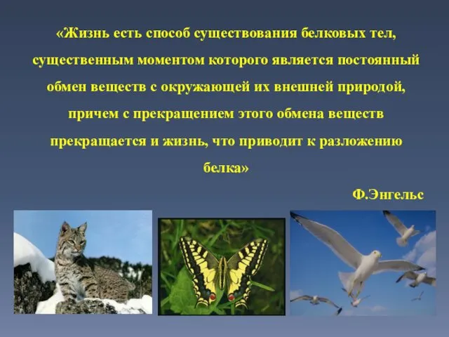 «Жизнь есть способ существования белковых тел, существенным моментом которого является