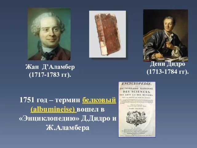 1751 год – термин белковый (albumineise) вошел в «Энциклопедию» Д.Дидро