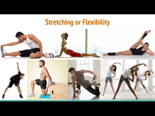Stretching or Flexibility