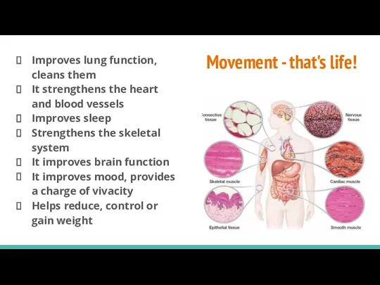 Movement - that's life! Improves lung function, cleans them It strengthens the heart