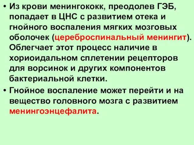 Из крови менингококк, преодолев ГЭБ, попадает в ЦНС с развитием отека и гнойного