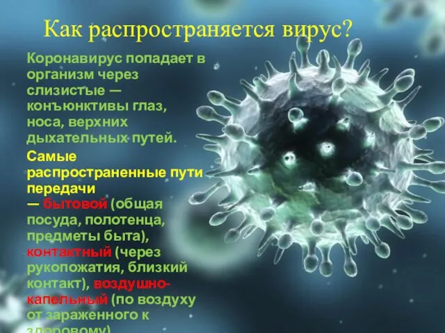 Как распространяется вирус? Коронавирус попадает в организм через слизистые —